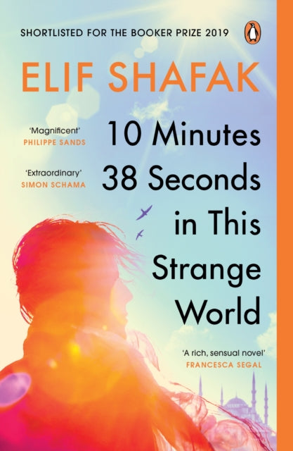 10 Minutes 38 Seconds in this Strange World - Elif Shafak