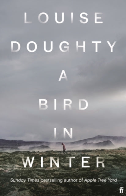 Bird in Winter - Louise O'Doughty
