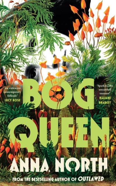 Bog Queen - Anna North (Hardcover)