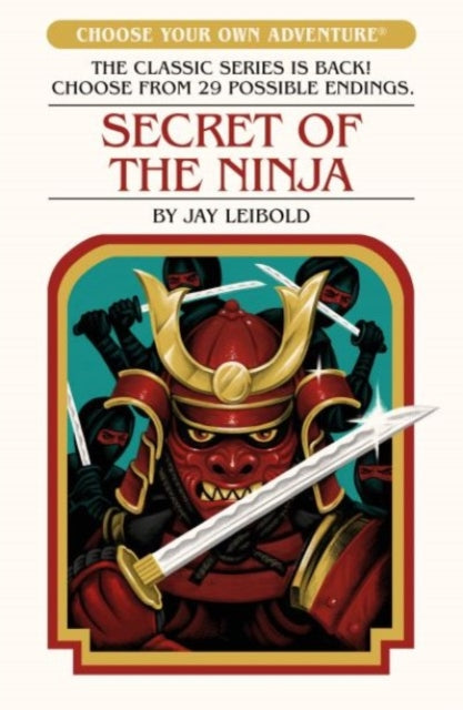 Secret of the Ninja - Jay leibold