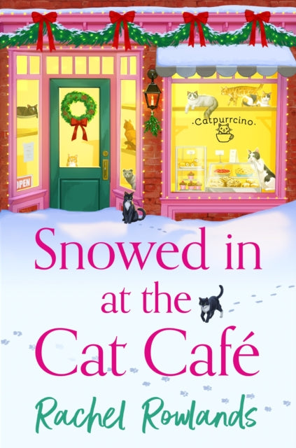 Snowed in at the Cat Cafe - Rachel Rowlands