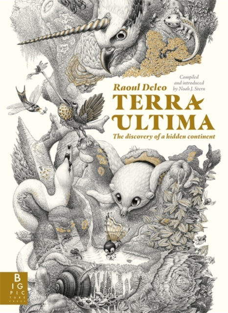 Terra Ultima - Raoul Deleo (Hardcover)