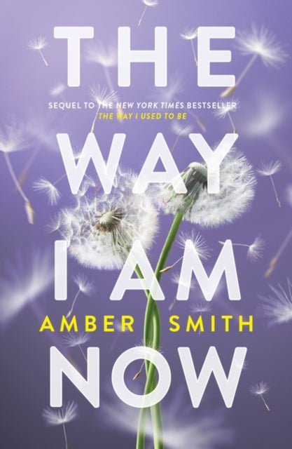 Way I Am Now - Amber Smith