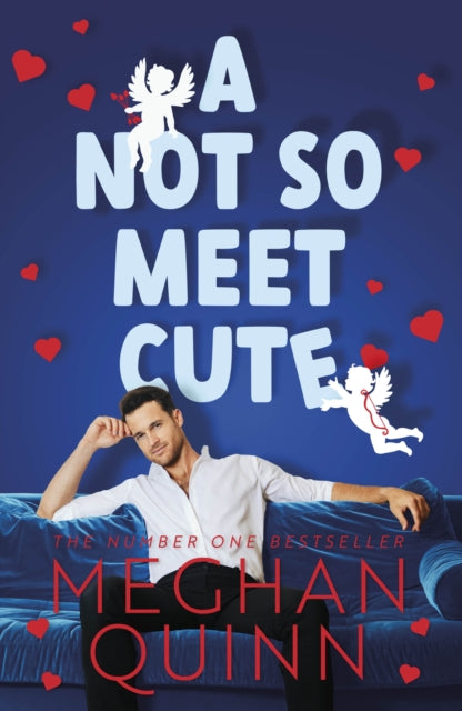 Not So Meet Cute - Meghan Quinn