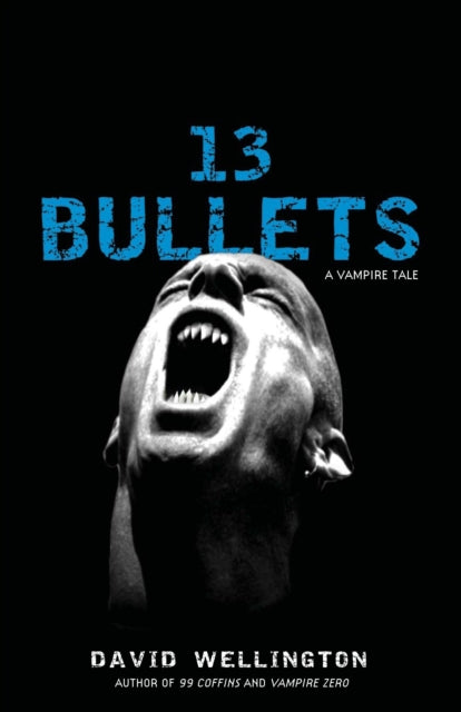 13 Bullets - David Wellington