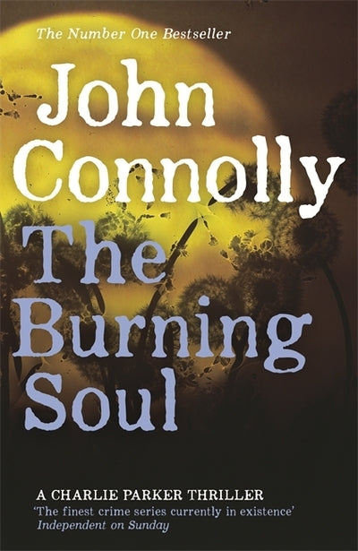 Burning Soul - John Connolly
