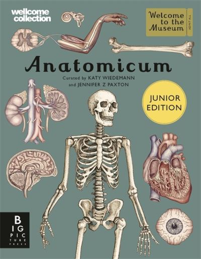 Anatomicum - Katy Wiedeman (Hardcover)