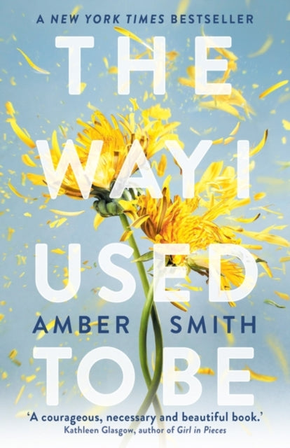 Way I Used to Be - Amber Smith