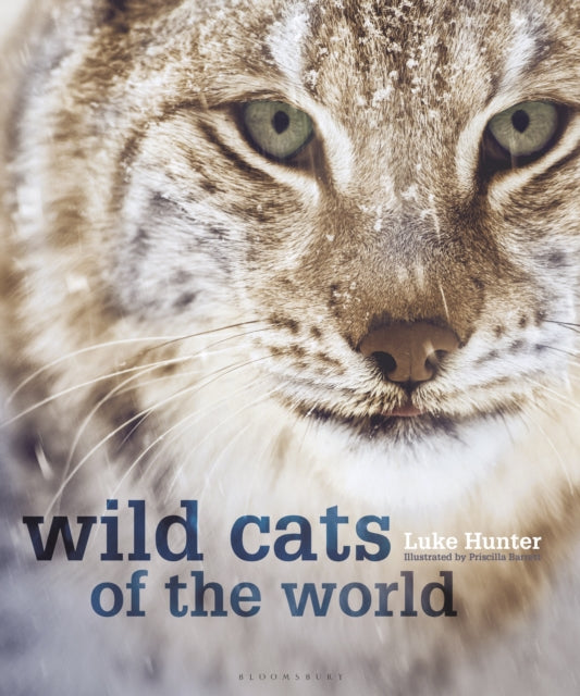Wild Cats of the World - Luke Hunter (Hardcover)