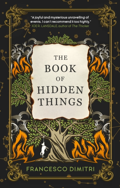 Book Of Hidden Things - Francesco Dimitri